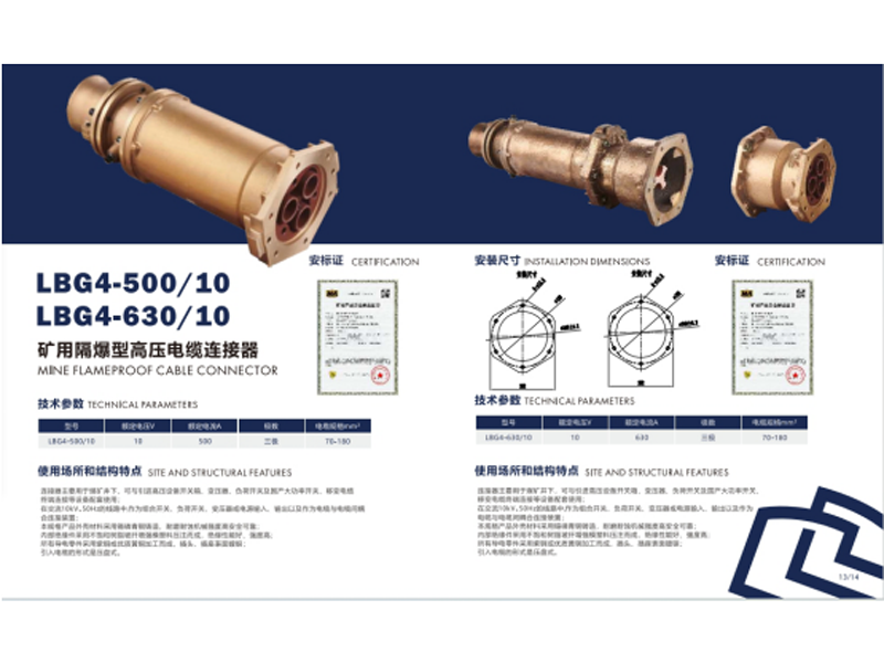 lbg4-50010